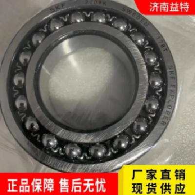 SKF轴承 耐高温防腐潜水排污泵 原装进口 高转速 低噪音图4