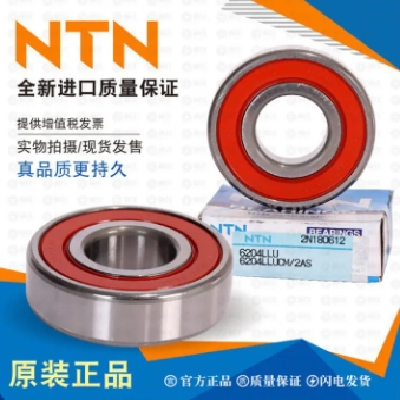 NTN进口轴承，6218,6219,6220,6221,6222,6224 6226LLU ZZ C3图3
