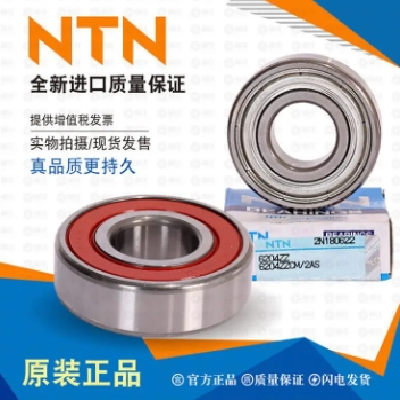 NTN进口轴承，6218,6219,6220,6221,6222,6224 6226LLU ZZ C3图2
