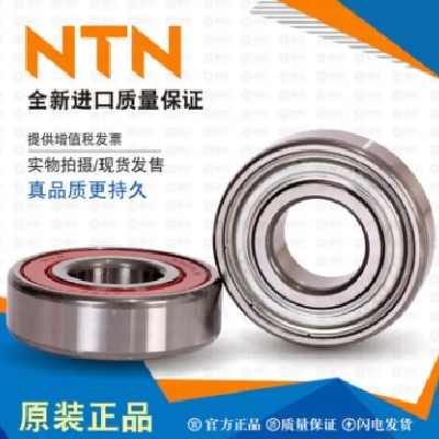 NTN进口轴承，6218,6219,6220,6221,6222,6224 6226LLU ZZ C3图4