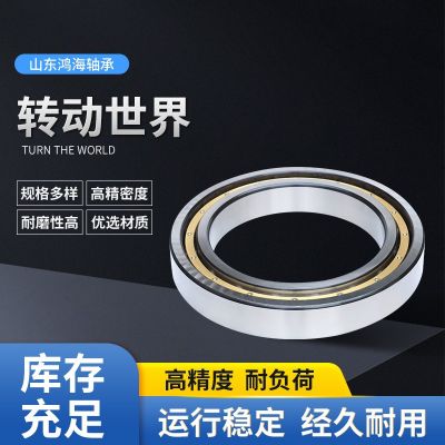 深沟球6201 6202 6203 6204 6205 6206 6207 6208 6209 6210ZZ2RS图2