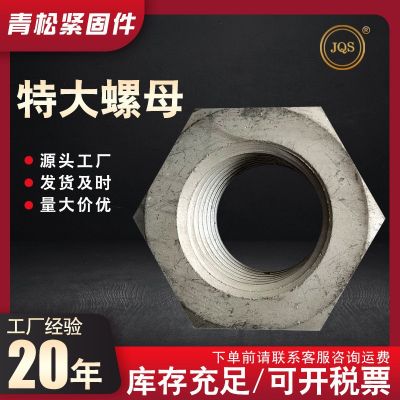 特大螺母高强度氧化发黑细牙反牙六角螺母镀锌加大防松螺母异型件图3