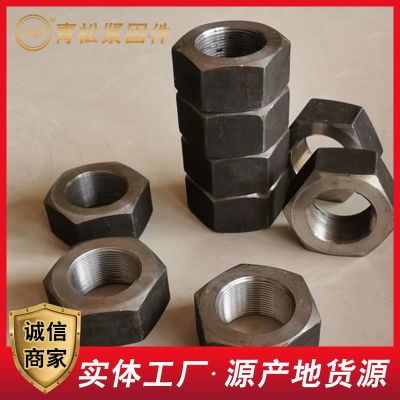 特大螺母高强度氧化发黑细牙反牙六角螺母镀锌加大防松螺母异型件图2