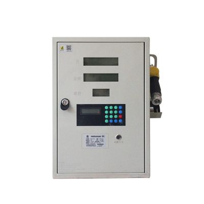 12V/24V/220V柴油加油机抽油泵全自动防爆车载计价小型定量加油机图3