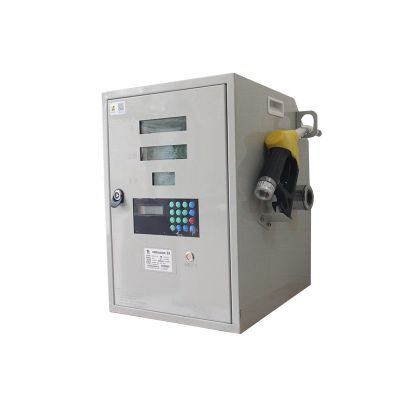 12V/24V/220V柴油加油机抽油泵全自动防爆车载计价小型定量加油机图2