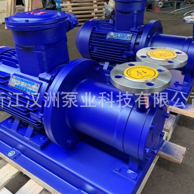 CWB32-120磁力旋涡泵 高扬程磁力泵 无泄漏磁力旋涡泵图3