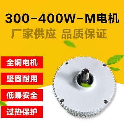 三相永磁发电机 稀土永磁汝铁硼300w400w12v24v足功率发电机图3