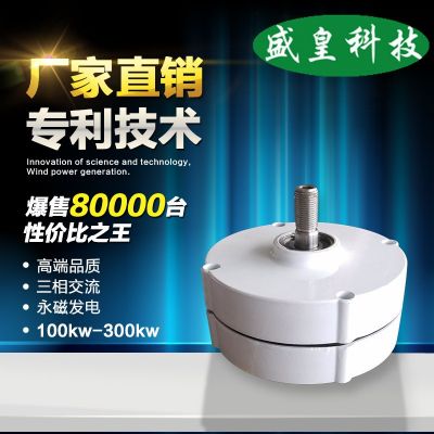 三相永磁发电机 稀土永磁汝铁硼300w400w12v24v足功率发电机图5