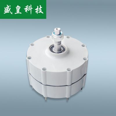 三相永磁发电机 稀土永磁汝铁硼300w400w12v24v足功率发电机图4