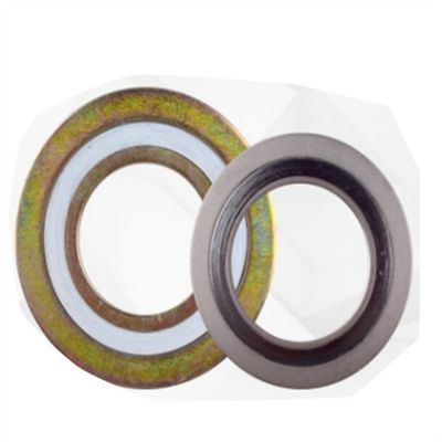 远洋 不锈钢金属缠绕垫片 基本型石墨缠绕垫 304 内外环法兰缠绕图4