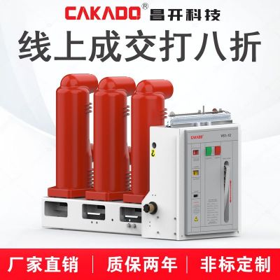 厂家直销VS1-24侧装式真空断路器 出口型真空断路器ZN63A(VS1)-24图2