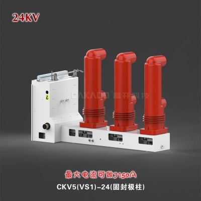 厂家直销VS1-24侧装式真空断路器 出口型真空断路器ZN63A(VS1)-24图5