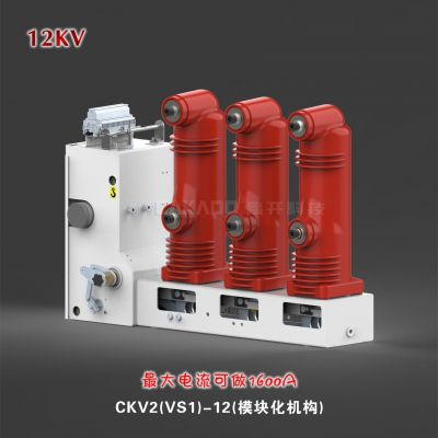 昌开CKV2-12侧装式真空断路器 VSG-12真空断路器图3