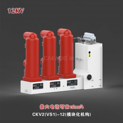 昌开CKV2-12侧装式真空断路器 VSG-12真空断路器图5