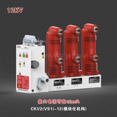 昌开CKV2-12侧装式真空断路器 VSG-12真空断路器图2