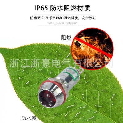 LED金属指示灯6/8/10/12mm红绿双色灯3V6V12V24防水电源信号 灯220图3
