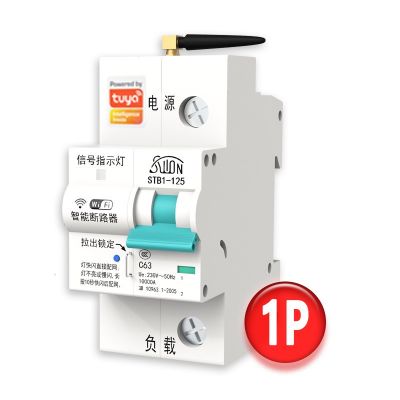 智能WiFi断路器空气开关总闸手机远程APP控制涂鸦无线 定时空开图4