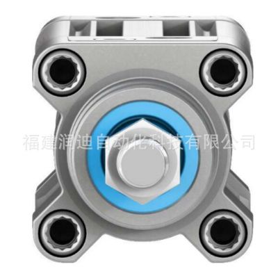 费斯托 活塞杆标准气缸 DSBC-32-50-PPVA-N3 1376424 气动元件图2