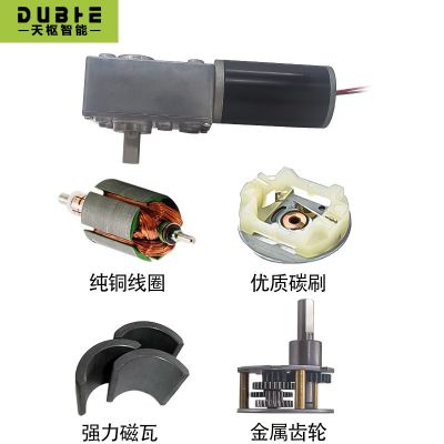 5840-31ZY涡轮蜗杆直流减速电机12v24调速自锁齿轮大 扭矩双轴马达图3