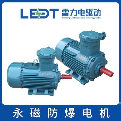 永磁防爆电机 TBYPCX112/132/160/180/200/225/280/315/355—1500图2