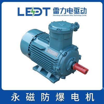 永磁防爆电机 TBYPCX112/132/160/180/200/225/280/315/355—1500图5