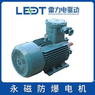 永磁防爆电机 TBYPCX112/132/160/180/200/225/280/315/355—1500图3