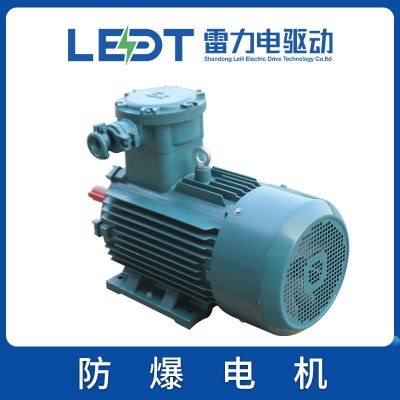 厂家现货销售 防爆电机 YBX4-160/180/200/225/250M/L/S1/2-2/4/6图3