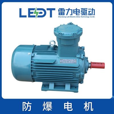 厂家现货销售防爆电机YBX4-80/90/100/112/132M/L/S1/2-2/4/6/8图2