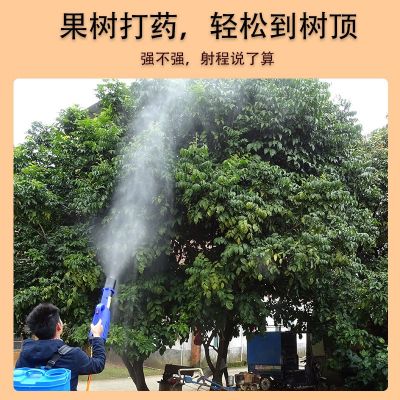 14.8V电动喷雾器锂电池12v农用大容量背负打药机专用配件蓄电瓶伏图2