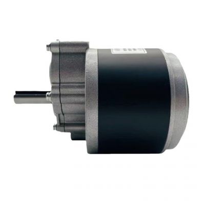 工厂350W电机MY1016 24V 350W 履带车350W轮椅车电机磁钢 磁瓦加长图5