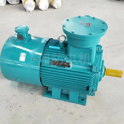 厂家现货YBX4系列防爆高效节能电机防爆型三相异步电动机防爆电机图2
