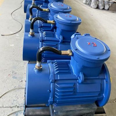 厂家直供 清洗机配套电机三相异步YBX3加制动刹车电机设备图2