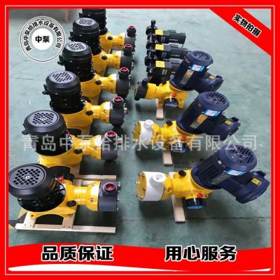 液压隔膜式计量泵 不锈钢计量泵 加药装置计量泵包邮图3