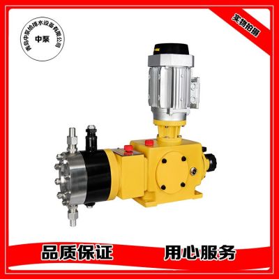 液压隔膜式计量泵 不锈钢计量泵 加药装置计量泵包邮图4