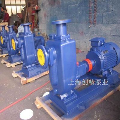 ZW型无堵塞不锈钢自吸排污泵 自吸污水泵 污泥泵 杂质泵污水泵图3