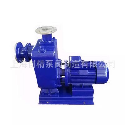 ZXL型直联式自吸离心泵 不锈钢防爆直联自吸泵 直联自吸清水泵图5