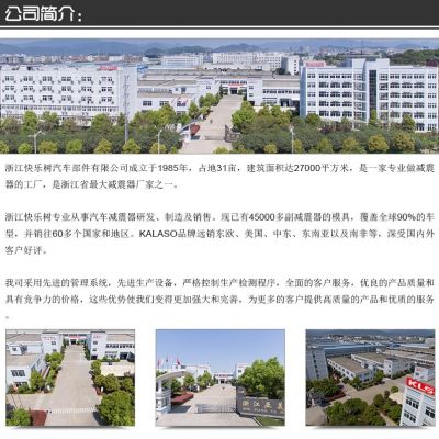 适用BYD比亚迪S6雷克萨斯RX300/RX350黄海旗胜V3汽车前后减震器图5