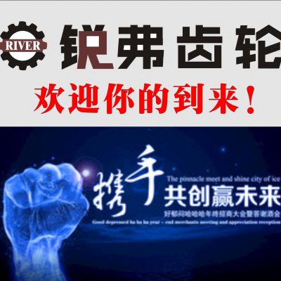 电锤齿轮，自行车齿轮，开槽机齿轮，气动工具齿轮，角磨机齿轮图4