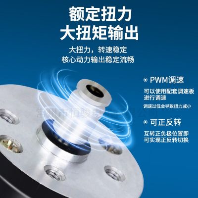 直流永磁减速电机恒骏电机厂家直供永磁直流电机40ZYN003-4电动机图2