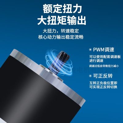 有刷电机电动机厂家直供直流永磁电机76ZYT001DL直流永磁减速电机图3