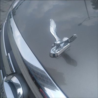 汽车金属立标机盖老鹰3D立体车标引擎盖个性装饰中网翅膀改装车贴图3