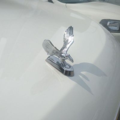 汽车金属立标机盖老鹰3D立体车标引擎盖个性装饰中网翅膀改装车贴图4