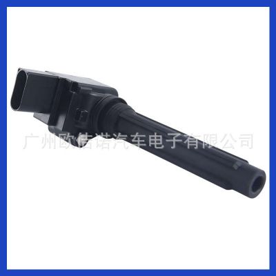 079905110P 079905110H 079905110K 07990511点火线圈适用奥迪A8图3