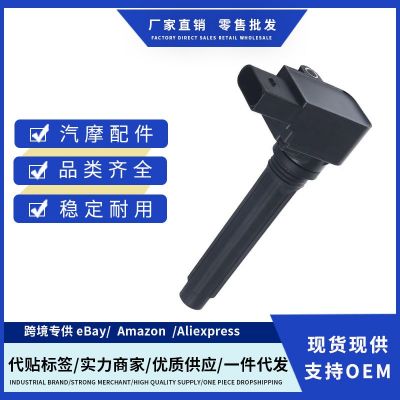 079905110P 079905110H 079905110K 07990511点火线圈适用奥迪A8图2