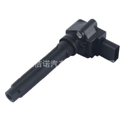 079905110P 079905110H 079905110K 07990511点火线圈适用奥迪A8图5