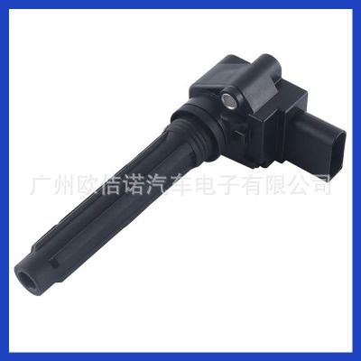 079905110P 079905110H 079905110K 07990511点火线圈适用奥迪A8图4