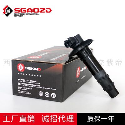 汽车配件适用于欧宝GTX点火线圈 OE 420664020 源头厂家 跨境电商图3