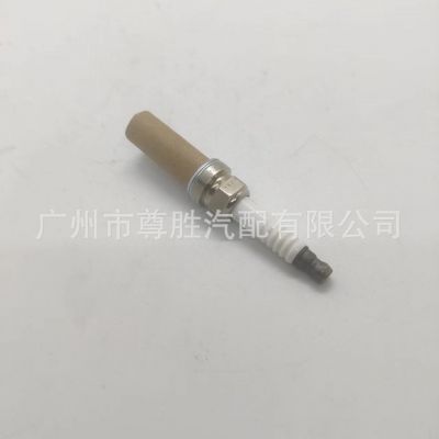 境外热销 适用于法拉利 玛莎拉蒂Quattroporte 火花塞 000310235图5