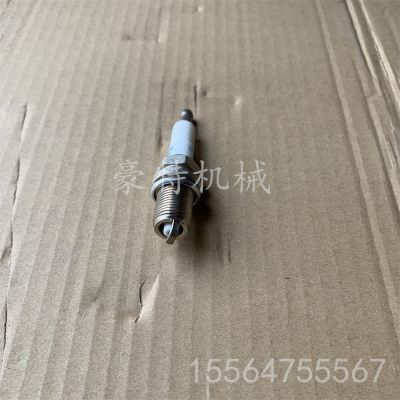 现货供应适用汽车点火系统火花塞VG1560080701E图4