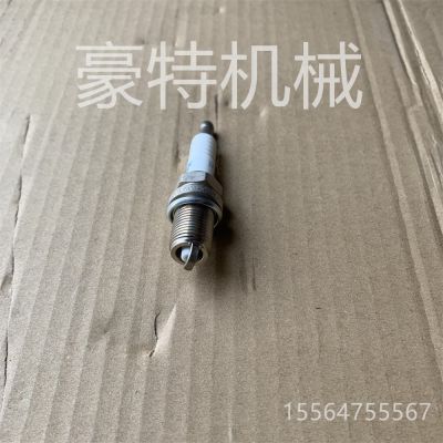 现货供应豪沃重汽发动机点火零部件火花塞VG1560080701E图4